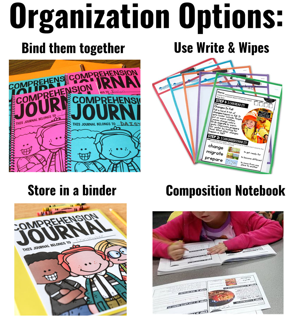organization options 1